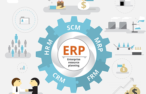 Understand and Conquer ERP System Challenges.jpg